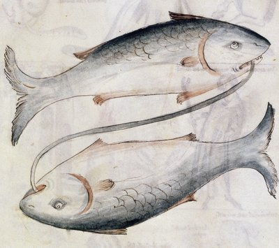Sloane 3983 Jafar ibn Muhammad (vellum) によるペルシャの占星術論文の翻訳からの魚座の描画 作： Netherlandish School