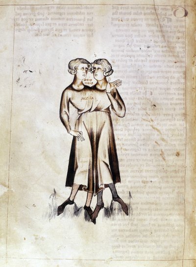 Sloane 3983 f.8v Jafar ibn Muhammad (vellum) によるペルシャの占星術論文の翻訳からのジェミニの描画 作： Netherlandish School