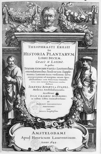 Theophrastus（c.372-c.287 BC）による植物の歴史のボリュームインデックス、1644年にアムステルダムで公開 作： Netherlandish School