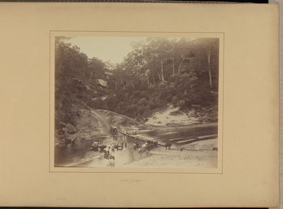 アッパー・ネピアン 作： New South Wales Government Printing Office