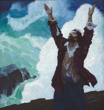 ロビンソン・クルーソー：カバー 作： Newell Convers Wyeth