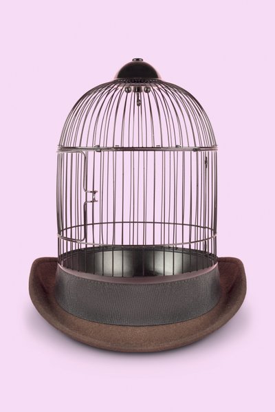メンタルケージ、2020年（写真） 作： Niccolò Fioriti