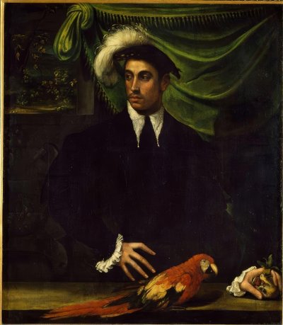 オウムと若い男の肖像 作： Niccolò dell Abbate