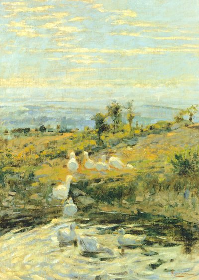 Ducks in the morning, ca 1892, by Niccolo Cannicci (1846-1906). Oil on canvas, 57.5x40.5 cm.   1454670   ja       japanese Successfully Translated  Original: Key to Plate of Hindu Fakirs Practising their Superstitious Rites Translat: Key to Plate of Hindu  作： Niccolo Cannicci