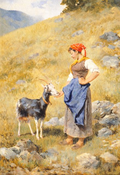 Paimentar, kirjoittanut Niccolo Cannicci (1846-1906) 作： Niccolo Cannicci
