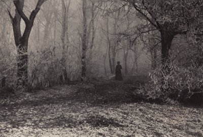 ウィーンの森にて（モノクロ写真） 作： Nichol Elliot