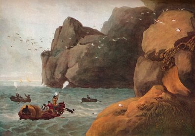 「ツノメドリの射撃」、c1806 作： Nichols and Merke