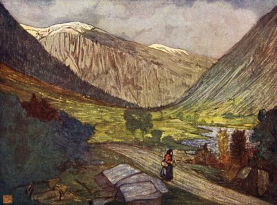 ノルウェー：Gjoraの山と川 作： Nico Jungman