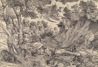 荒野の聖ジェローム 16世紀中頃 16世紀中頃 作： Nicolò Boldrini.