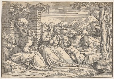 聖家族と聖女エリザベスと聖女ヨハネ 1550年頃 作： Nicolò Boldrini