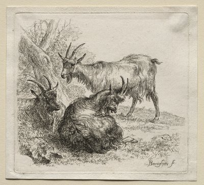 動物界: 三匹のヤギ 作： Nicolaes Berchem