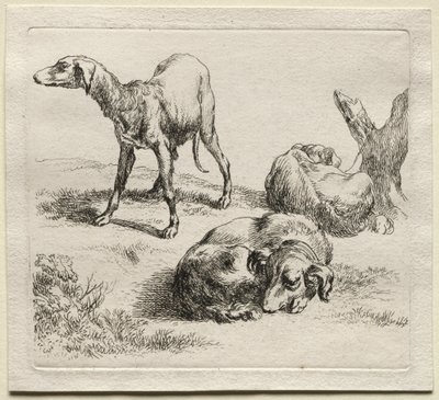 Animalia: 三匹の猟犬 作： Nicolaes Berchem