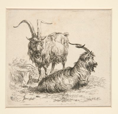 ヤギ（から 作： Nicolaes Berchem