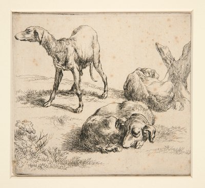 三匹の猟犬（から 作： Nicolaes Berchem