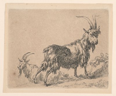 ベルケムの「アニマリア」より 2 匹のヤギ (動物) 作： Nicolaes Berchem