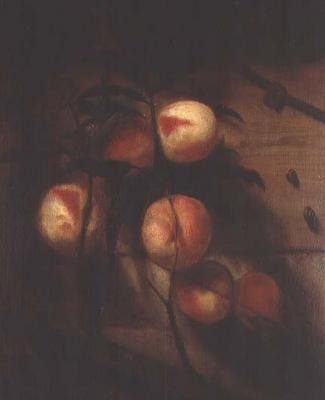 壁際に置かれた桃の枝にはカタツムリがいる 作： Nicolaes Maes
