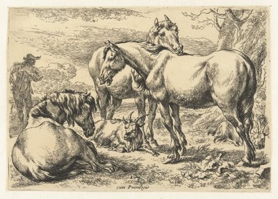 三頭の馬 動物（シリーズタイトル） 作： Nicolaes Pietersz Berchem