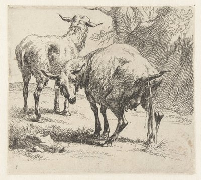Pissende ooi en een schaap シャーペン（シリーズタイトル） ニコライ・ベルヘムのスタジオとアート（シリーズタイトル）によって、強い空気で水中に生き生きと描かれた動物が印刷されました 作： Nicolaes Pietersz Berchem