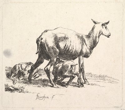 羊と子羊の授乳。 作： Nicolaes Pietersz. Berchem