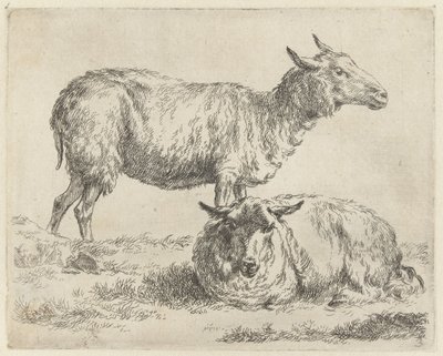 Staand en liggend schaap シャーペン（シリーズタイトル） ニコライ・ベルヘムのスタジオとアート（シリーズタイトル）によって、強い空気で水中に生き生きと描かれた動物が印刷されました 作： Nicolaes Pietersz Berchem