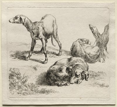 3つの狩猟犬。 作： Nicolaes Pietersz. Berchem