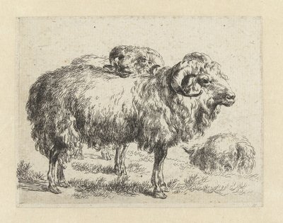 Twee rammen en een schaap シャーペン（シリーズタイトル） ニコライ・ベルヘムのスタジオとアートによる生き生きとした動物と水でプリントされた強い空気感 (シリーズ タイトル) 作： Nicolaes Pietersz Berchem