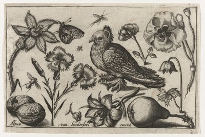 花と梨と鳩 鳥・花・虫など（連載タイトル） 作： Nicolaes de Bruyn (possibly)
