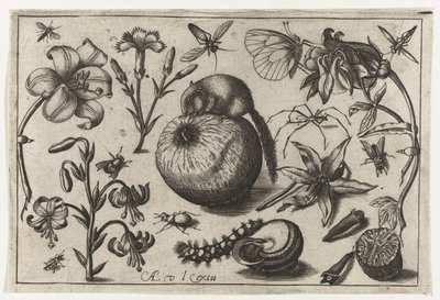花とりんごの上のネズミ 鳥・花・虫など（連載タイトル） 作： Nicolaes de Bruyn (possibly)