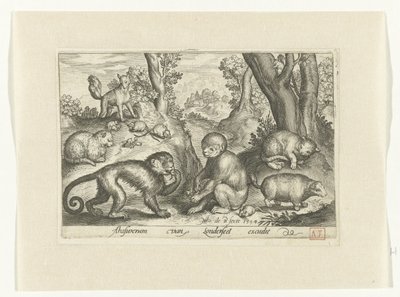 サル、ネコ、ネズミ Animalivm qvadrvpedvm (シリーズタイトル) 風景の中の動物（シリーズタイトル） 作： Nicolaes de Bruyn