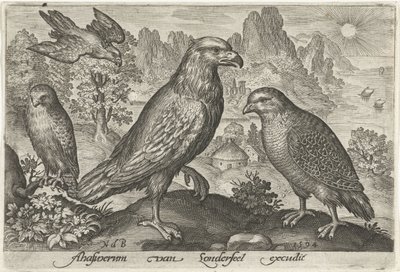 ワシやその他の猛禽類 鳥と虫（連載タイトル） 作： Nicolaes de Bruyn