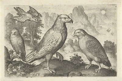 ワシやその他の猛禽類 鳥と虫（連載タイトル） 作： Nicolaes de Bruyn