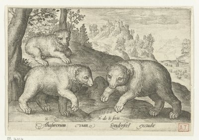 3 つのクマ Animalivm qvadrvpedvm (シリーズタイトル) 風景の中の動物（シリーズタイトル） 作： Nicolaes de Bruyn