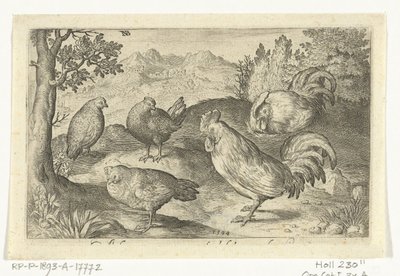 3 羽の鶏と 2 羽の雄鶏 鳥と虫（連載タイトル） 作： Nicolaes de Bruyn