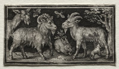 ヤギとノウサギ 作： Nicolaes de Bruyn