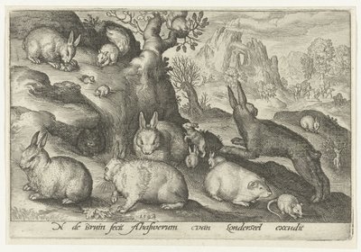 ウサギ、リス、モルモット、ネズミ Animalivm qvadrvpedvm (シリーズタイトル) 風景の中の動物（シリーズタイトル） 作： Nicolaes de Bruyn