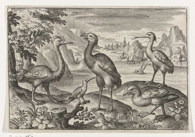 2 つのダチョウの間のタンチョウ 鳥と虫（連載タイトル） 作： Nicolaes de Bruyn
