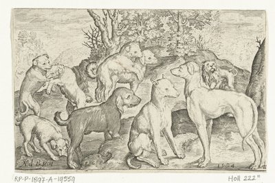 九匹の犬 Animalivm qvadrvpedvm (シリーズタイトル) 風景の中の動物（シリーズタイトル） 作： Nicolaes de Bruyn