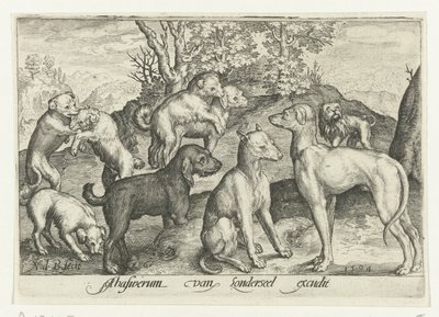 九匹の犬 Animalivm qvadrvpedvm (シリーズタイトル) 風景の中の動物（シリーズタイトル） 作： Nicolaes de Bruyn