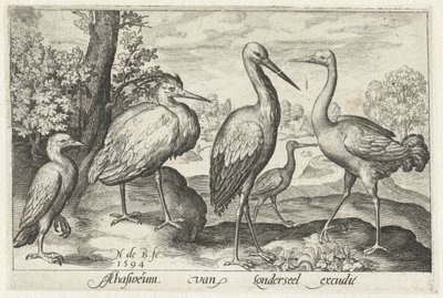 コウノトリ、ツル、サギ、ヘラサギ 鳥と虫（連載タイトル） 作： Nicolaes de Bruyn