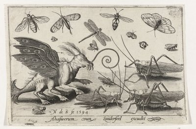 翼と水かきのある足を持つバッタと空想の生き物 鳥と虫（連載タイトル） 作： Nicolaes de Bruyn