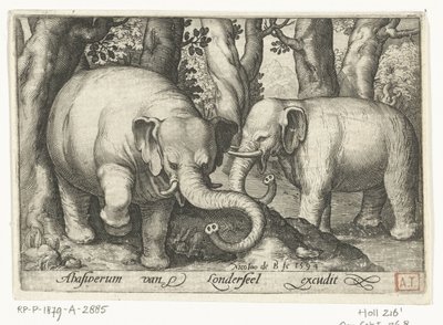 二頭のゾウ Animalivm qvadrvpedvm (シリーズタイトル) 風景の中の動物（シリーズタイトル） 作： Nicolaes de Bruyn