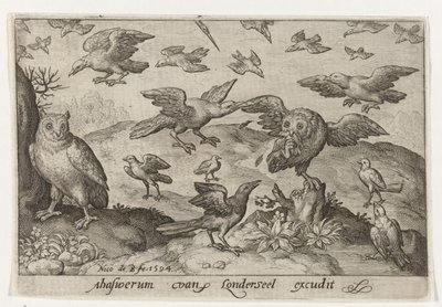 他の鳥に襲われた獲物を持つフクロウ 鳥と虫（連載タイトル） 作： Nicolaes de Bruyn