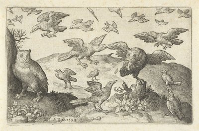 他の鳥に襲われた獲物を持つフクロウ 鳥と虫（連載タイトル） 作： Nicolaes de Bruyn