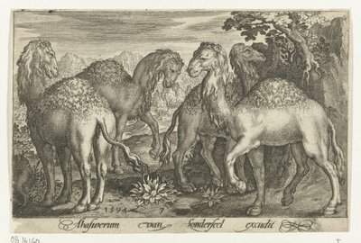 ヒトコブラクダ4匹 Animalivm qvadrvpedvm (シリーズタイトル) 風景の中の動物（シリーズタイトル） 作： Nicolaes de Bruyn