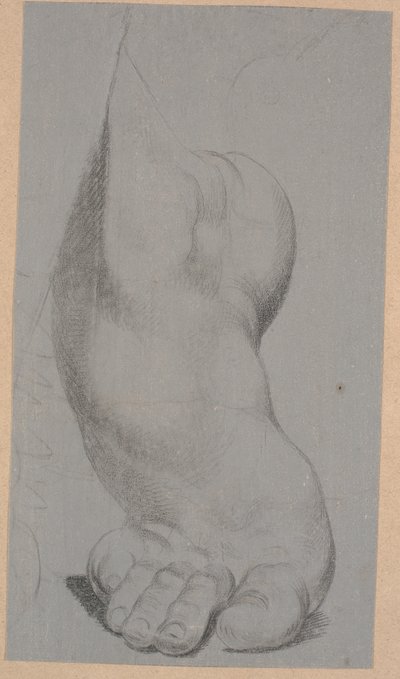 足の研究 作： Nicolai Abildgaard