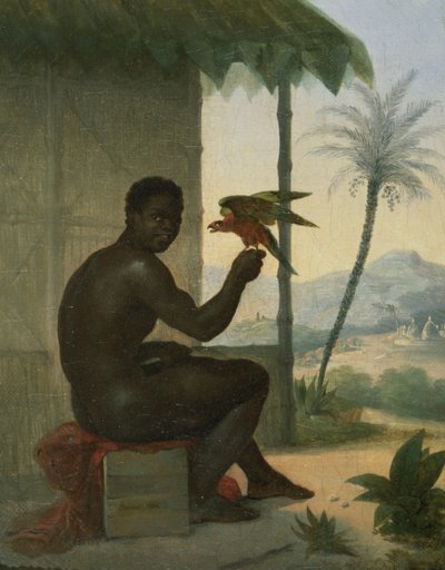 熱帯の鳥とブラジルの黒 作： Nicolas Antoine Taunay