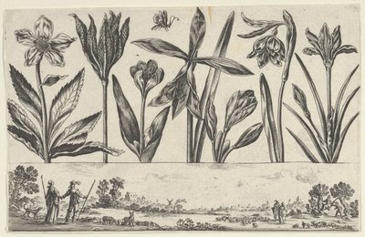 風景の中の人物を描いたフリーズの上に一列に並んだ花の水平パネル、Li...、1645年作。 作： Nicolas Cochin