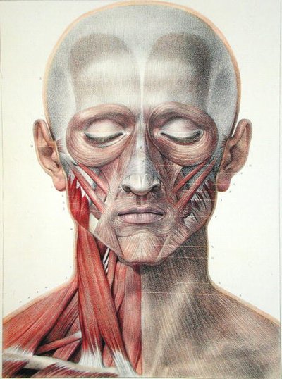 Jean-Baptiste Marc Bourgery (1797-1849)の「Traite Complete de l