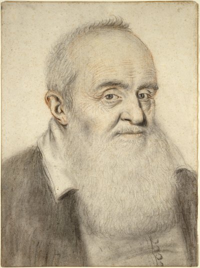 ひげを生やした男の頭（紙に色のチョーク） 作： Nicolas Lagneau or Lanneau