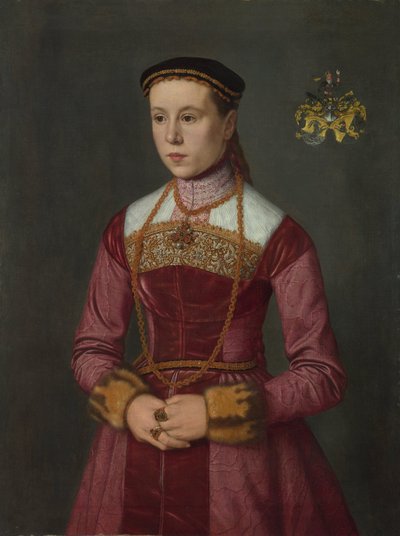 若い女性の肖像画 作： Nicolas Neufchatel